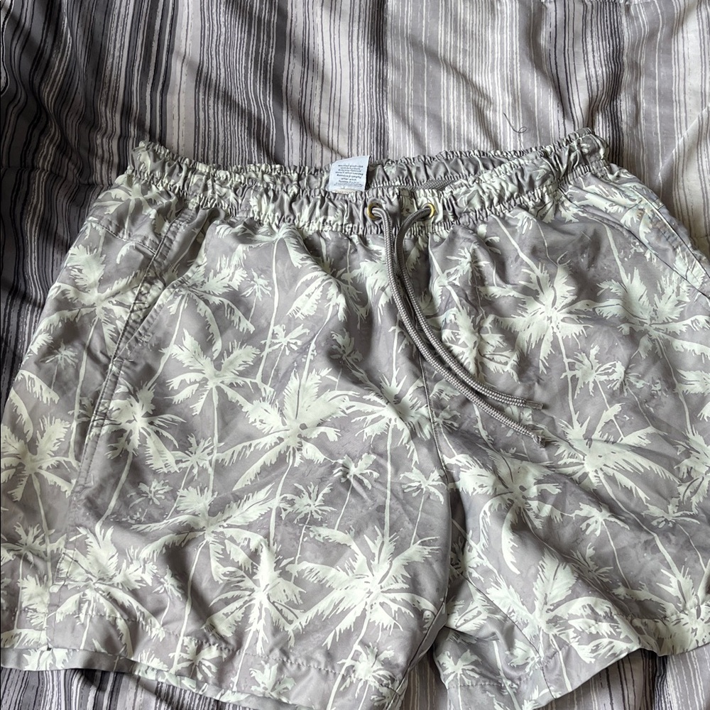 DSG Men's Athletic Shorts with Gray and Cream Palm Design